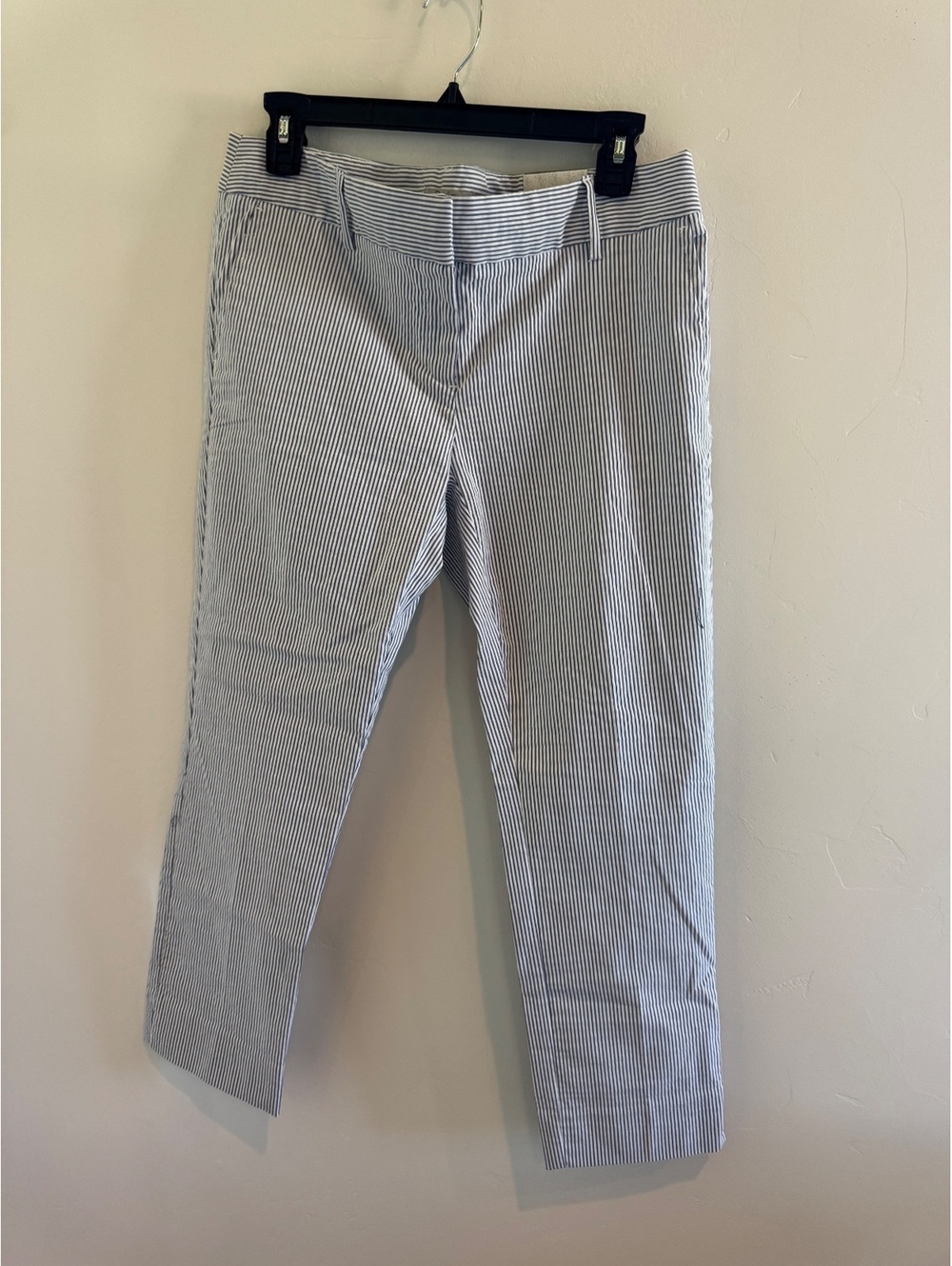Dalia Blue White Pinstripe Pants Size 10 NWT Cropped Straight Leg Trousers